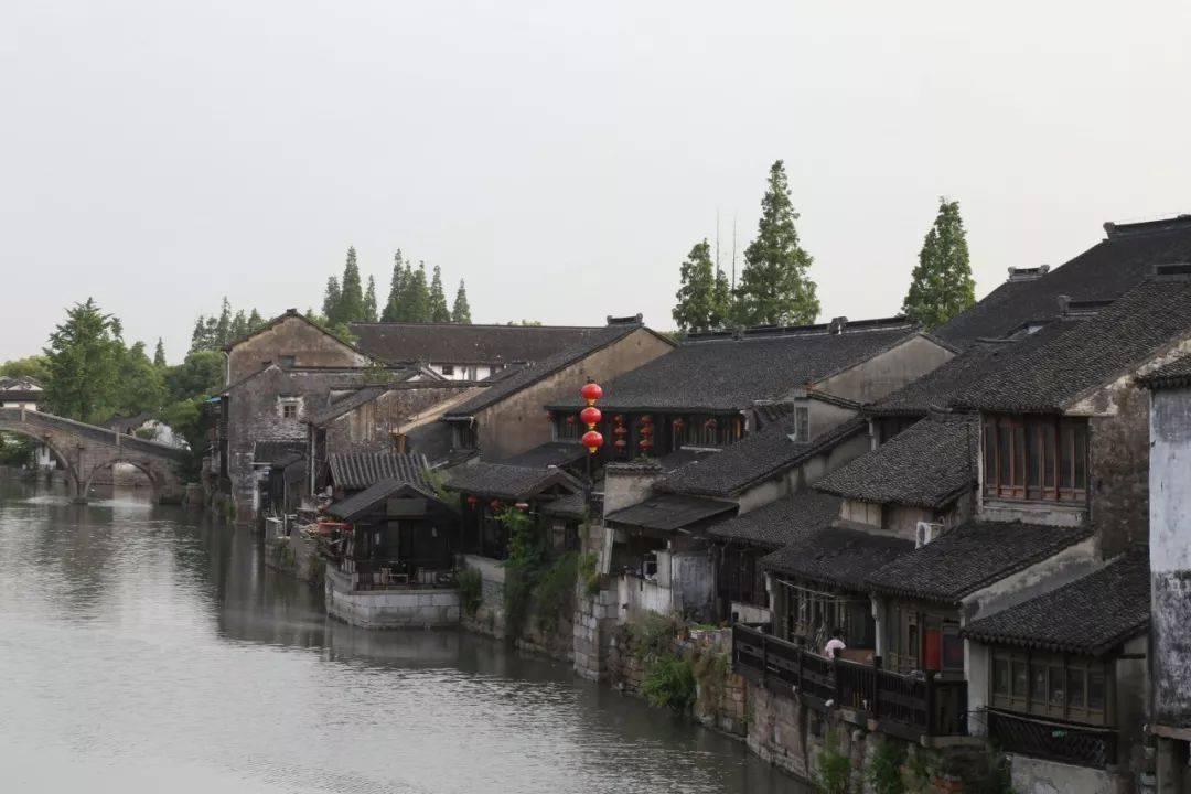 虫虫助手下载
